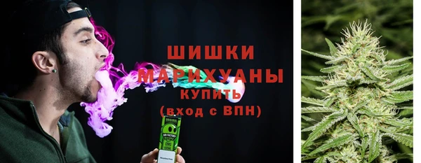 mix Ельня