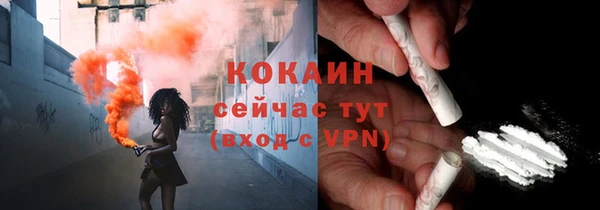 mix Ельня