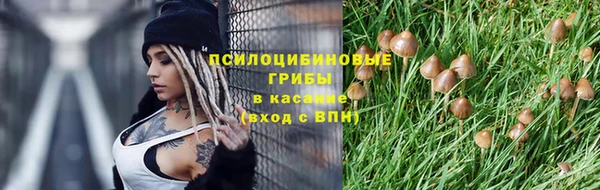 спайс Елизово