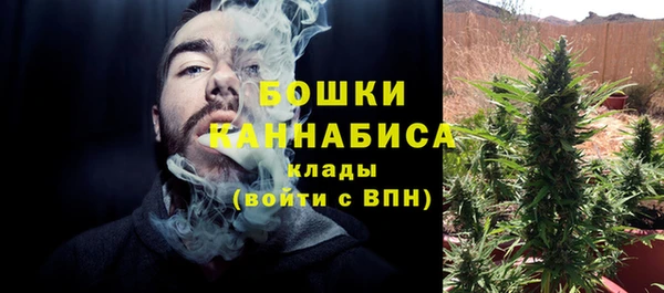 mix Ельня