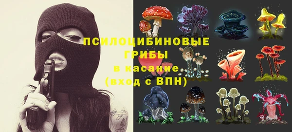 mix Ельня