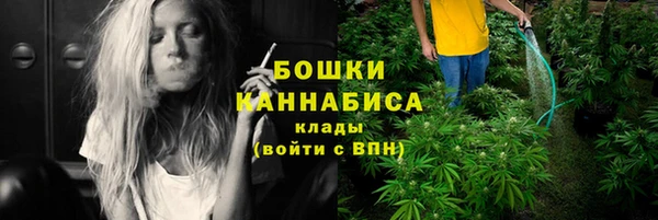 mix Ельня