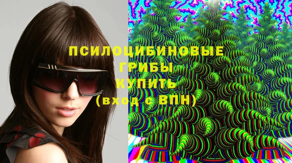 спайс Елизово