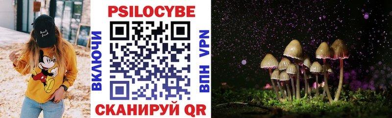 Галлюциногенные грибы Magic Shrooms  Задонск 