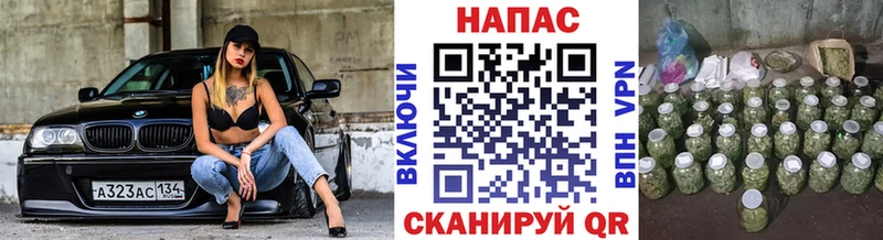 Шишки марихуана сатива Задонск